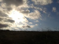 /album/kepek/a2011-12-31-12-04-38-jpg1/